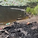 Die Reste des Feuers. Foto: Stadtverwaltung Coswig