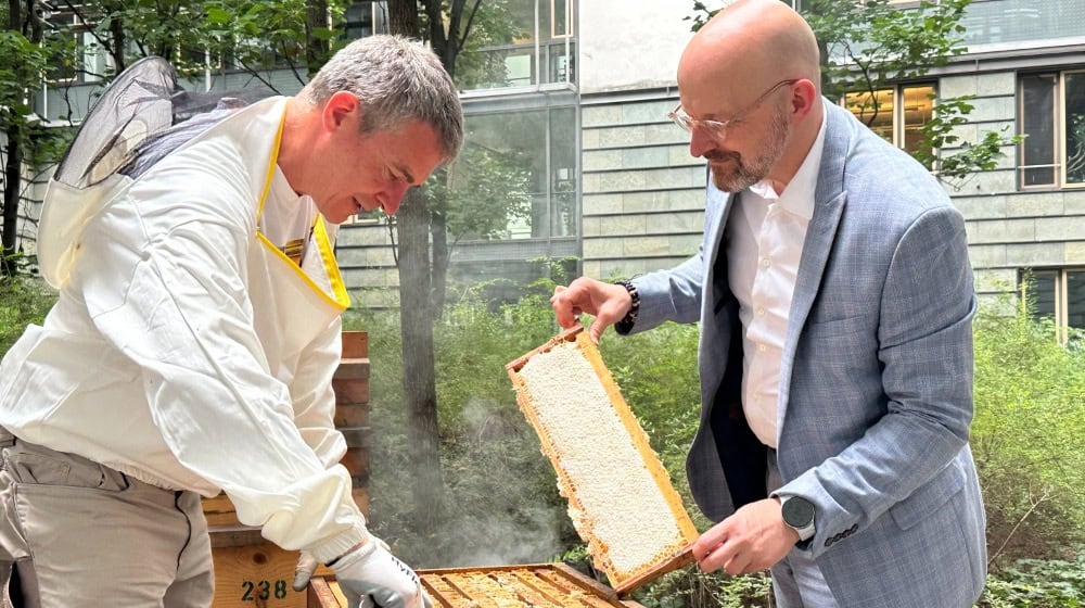 Rico Heinzig (left) and Thomas Kralinski (right) harvesting honey in the SMWA courtyard (Image: Thomas Wolf)