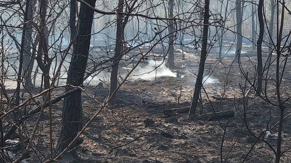 75 Prozent der Gohrischheide sind abgebrannt. Foto: Feuerwehr