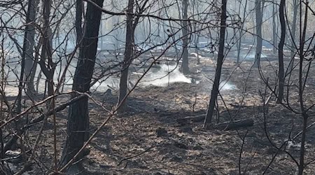 75 Prozent der Gohrischheide sind abgebrannt. Foto: Feuerwehr
