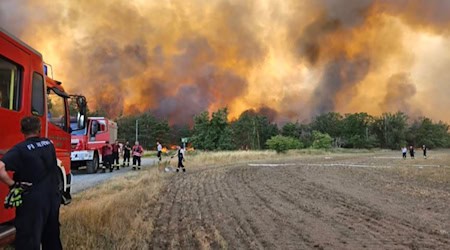 Brand in der Gohrischheide. Foto: Feuerwehr