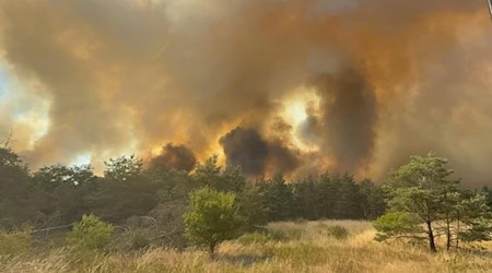 Brand in der Gohrischheide. Foto: Feuerwehr