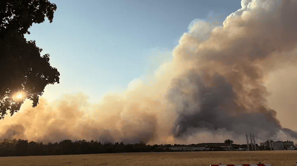 Brand in der Gohrischheide. Foto: Feuerwehr
