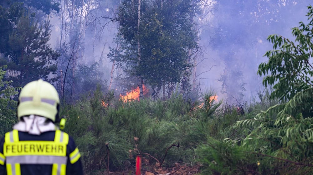 Nach dem Waldbrand in der Gohrischheide werden Rufe nach einem besseren Brandschutz laut. (Archivbild) / Foto: Robert Michael/dpa