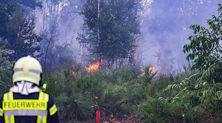 Nach dem Waldbrand in der Gohrischheide werden Rufe nach einem besseren Brandschutz laut. (Archivbild) / Foto: Robert Michael/dpa