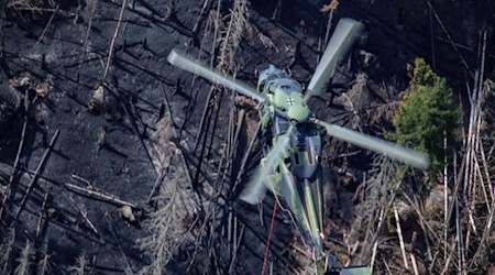 Blick von oben auf die Gohrischheide: Nicht mehr viel übrig. Foto: Bundeswehr