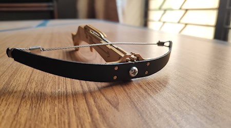 Symbolbild Armbrust / pixabay UmerSaud
