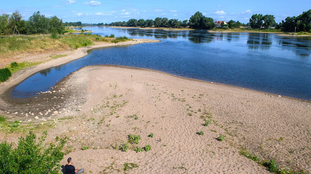 Die Elbe führt in Sachsen-Anhalt und Sachsen immer weniger Wasser / Foto: Klaus-Dietmar Gabbert/dpa