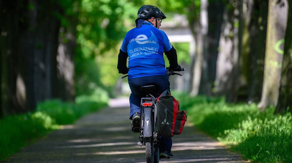 The Elbe Cycle Path is celebrating its 30th anniversary this year. (Archive image) / Photo: Klaus-Dietmar Gabbert/dpa