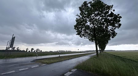 In Sachsen, Sachsen-Anhalt und Thüringen kühlen am Donnerstag die Temperaturen ab. / Foto: Christian Grube/NEWS5/dpa