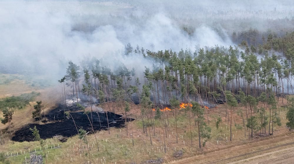 Dichter Rauch über dem Waldbrandgebiet in der Gohrischheide. / Foto: Sebastian Kahnert/dpa