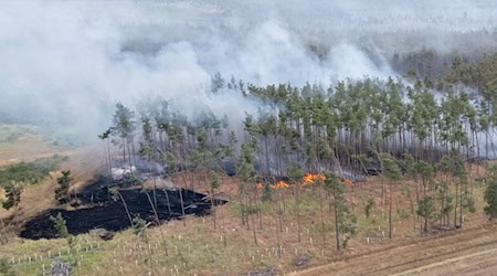 Dichter Rauch über dem Waldbrandgebiet in der Gohrischheide. / Foto: Sebastian Kahnert/dpa