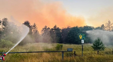 Brand in der Gohrischheide. Foto: Feuerwehr Coswig