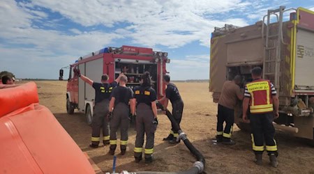 Feuerwehr im Einsatz in der Gorischheide. Foto: Feuerwehr Zeithain