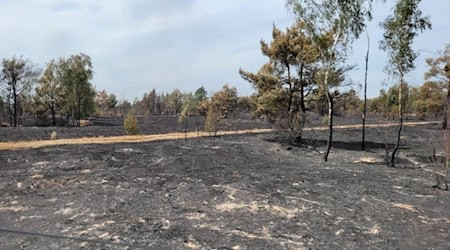 Verbrannte Erde. Foto: Feuerwehr Zeithain