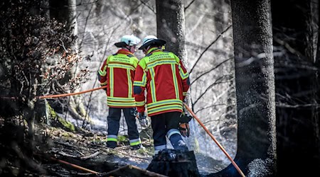 Symbolbild Waldbrand / pixabay benerott