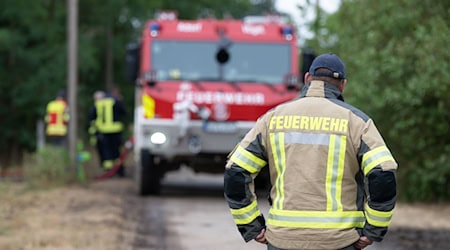 In der Gohrischheide an der Grenze zwischen Sachsen und Brandenburg hatte es zuletzt tagelang gebrannt. (Archivbild) / Foto: Sebastian Kahnert/dpa