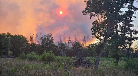 Brand in der Gohrischheide. Foto: Th. Fischer/Feuerwehr