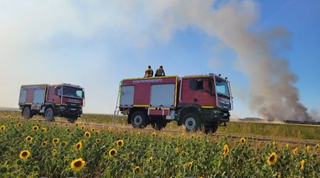 Brand in der Gohrischheide. Foto: Feuerwehr Zeithain