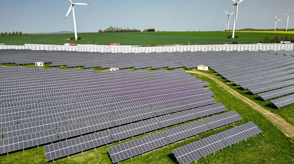 The Greens no longer want to see forests sacrificed for solar installations. (Archive image) / Photo: Jan Woitas/dpa
