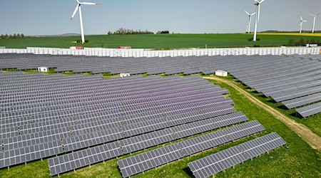 The Greens no longer want to see forests sacrificed for solar installations. (Archive image) / Photo: Jan Woitas/dpa