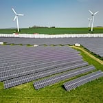 Die Grünen wollen keinen Wald mehr für Solaranlagen geopfert sehen. (Archivbild) / Foto: Jan Woitas/dpa