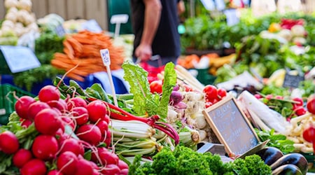 Grünmarkt in Meißen. Foto: Stadt Meißen