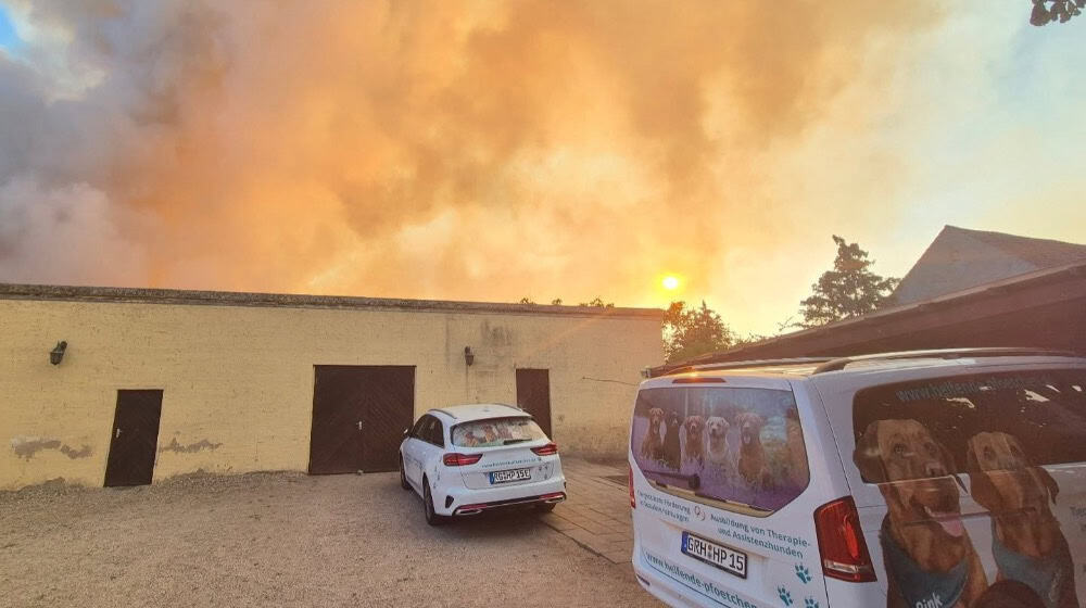  Das Foto entstand zum Sonnenuntergang – ein Moment voller Widersprüche. Ruhe am Horizont, während die Luft nach Rauch roch. Foto: Helfende Pfötchen