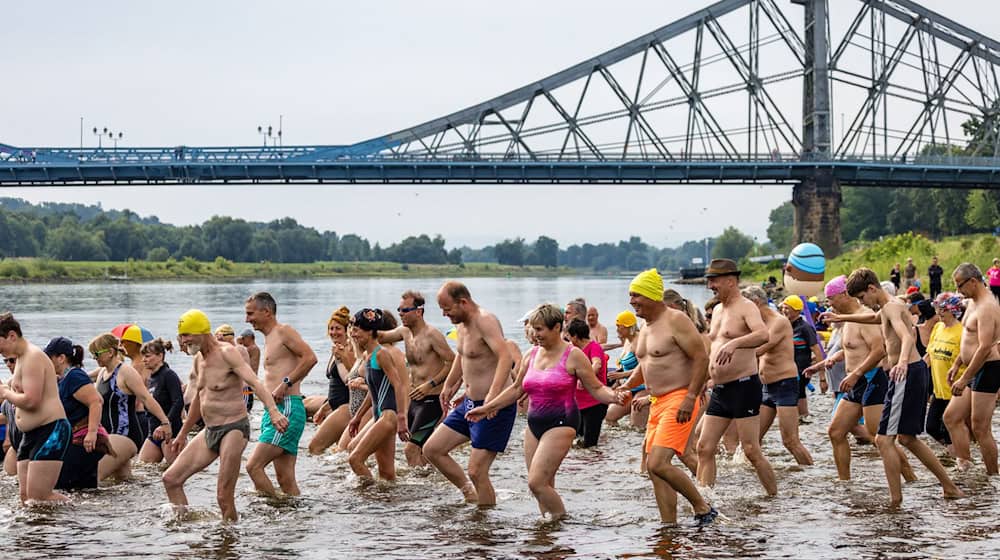 Hunderten Menschen machen beim Elbeschwimmen mit. / Foto: Frank Hammerschmidt/dpa