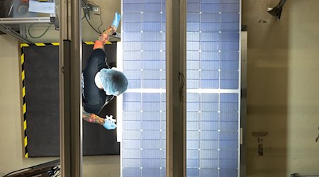 Laut Insolvenzverwalter Flöther gibt es für den Solarmodulhersteller eine Reihe von Interessenten. (Archivbild) / Foto: Sebastian Kahnert/dpa-Zentralbild/dpa