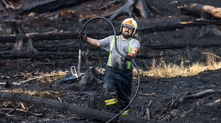 Three years after a forest fire in the Bohemian Switzerland National Park, boat trips in the Edmundsklamm gorge are resumed. (archive photo) / Photo: Hájek Vojtìch/CTK/dpa