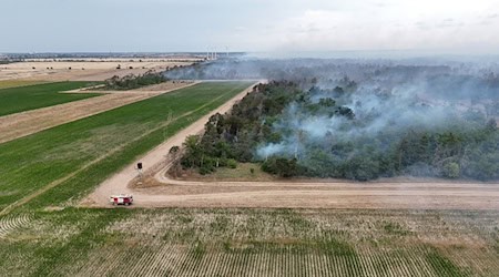 Es brennt weiter in der Gohrischheide.  / Foto: Sebastian Kahnert/dpa