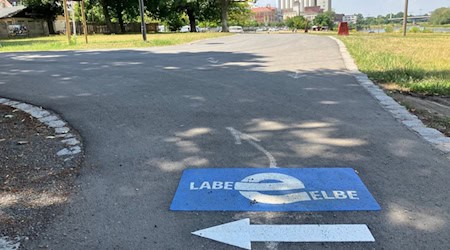 Die neuen Elberadweg-Markierungen in Riesa. Foto: Stadt Riesa