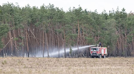 Ausreichend Regen hat die Löscharbeiten beim Waldbrand in der Gohrischheide auf die Zielgerade gebracht.  / Foto: Sebastian Kahnert/dpa
