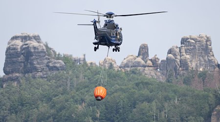 Sachsen hat für 60 Millionen Euro drei Hubschrauber angeschafft, die auch bei Waldbränden genutzt werden können (Archivbild). / Foto: Sebastian Kahnert/dpa