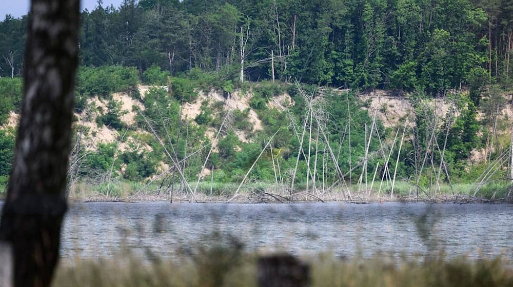 The restoration of the Knappensee is taking longer than planned. / Photo: Robert Michael/dpa