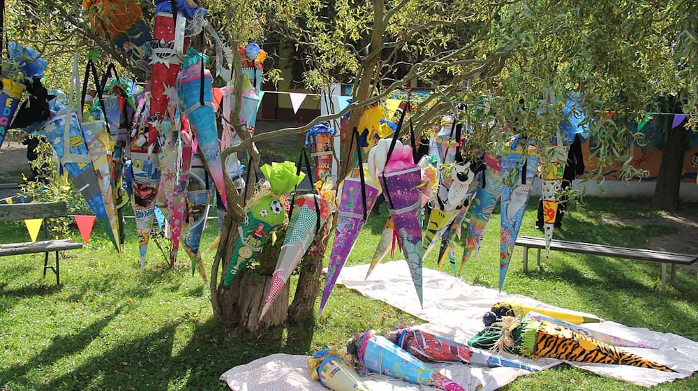 Symbolbild Zuckertüte / pixabay pixelheart