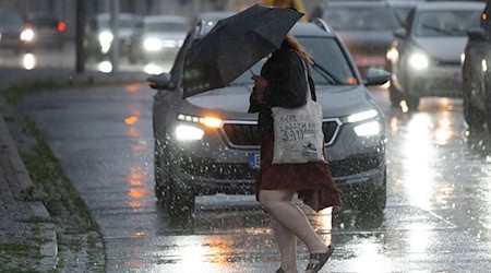An 15 bis 20 Tagen regnete es im Juli in Sachsen. (Archivbild) / Foto: Sebastian Kahnert/dpa