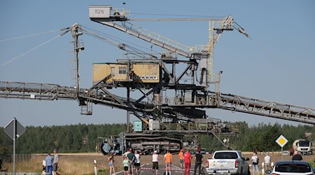 Die Fahrbahn der B176 wurde für die Bagger-Überquerung mit Gummimatten und einer dicken Erdschicht geschützt.  / Foto: Sebastian Willnow/dpa