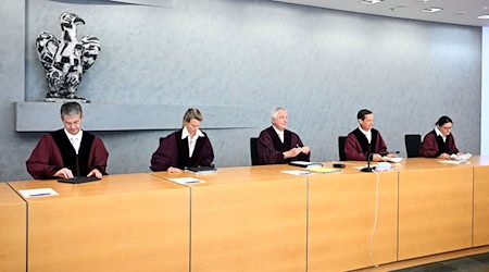 Das oberste deutsche Zivilgericht hat einen Streit zwischen dem Linksfraktionschef und einer rechtsextremen Kleinstpartei unter die Lupe genommen. / Foto: Uli Deck/dpa