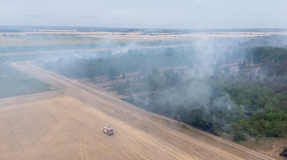Mehr als 500 Einsatzkräfte sind wegen des Waldbrands im Einsatz.  / Foto: Sebastian Kahnert/dpa
