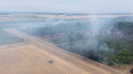 Mehr als 500 Einsatzkräfte sind wegen des Waldbrands im Einsatz.  / Foto: Sebastian Kahnert/dpa
