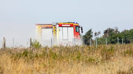 Die Gemeinde Zeithain sammelt wegen des Waldbrandes Geldspenden.  / Foto: Daniel Wagner/dpa