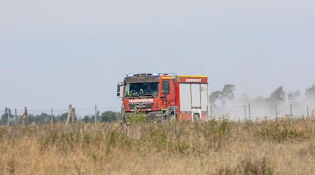 Der Brand in der Gohrischheide in Sachsen könnte sich erneut auf Brandenburger Gebiet ausbreiten.  / Foto: Daniel Wagner/dpa