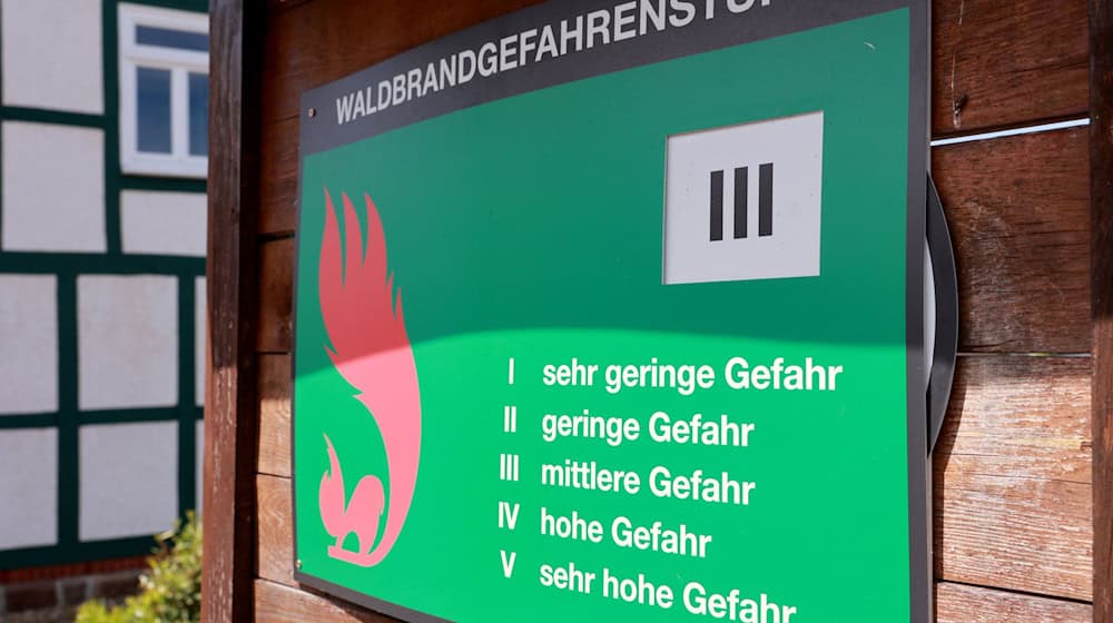 In Sachsen ist die Waldbrandgefahr vorübergehend gesunken. (Archivbild) / Foto: Peter Gercke/dpa-Zentralbild/dpa