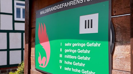 In Sachsen ist die Waldbrandgefahr vorübergehend gesunken. (Archivbild) / Foto: Peter Gercke/dpa-Zentralbild/dpa