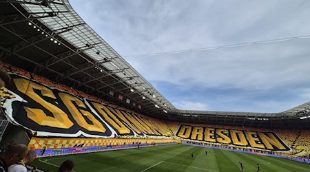 Vorbericht: Dynamo Dresden fiebert Pokalabend gegen Mainz 05 entgegen
