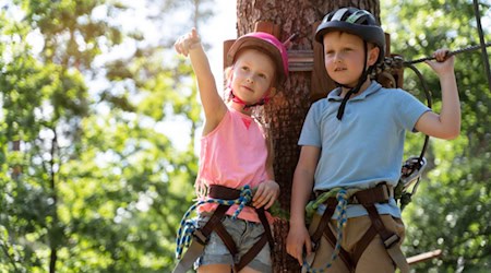 Teamgeist und Mut – Klettercamps bieten unvergessliche Ferienerlebnisse. / Foto: freepik.com