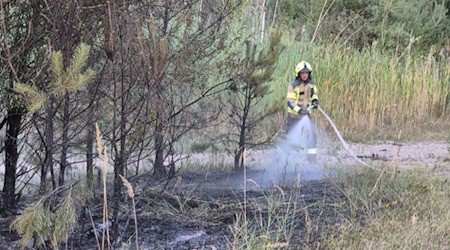 Feuer im ehemaligen Waldbad Röderau. Foto: Feuerwehr 