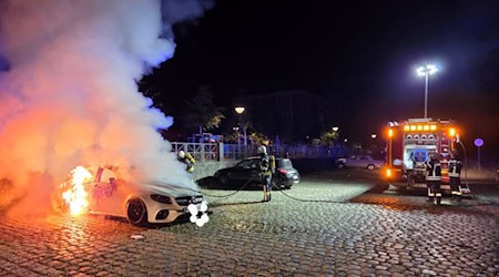 Dieses Auto brannte auf dem Parkplatz an der Elbe. Foto: Feuerwehr Riesa